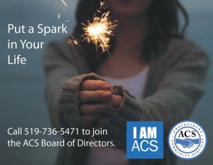 Put a spark in your life. Call ACS to Join Our board of Directors